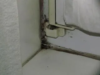 Szálloda Zum Klueverbaum