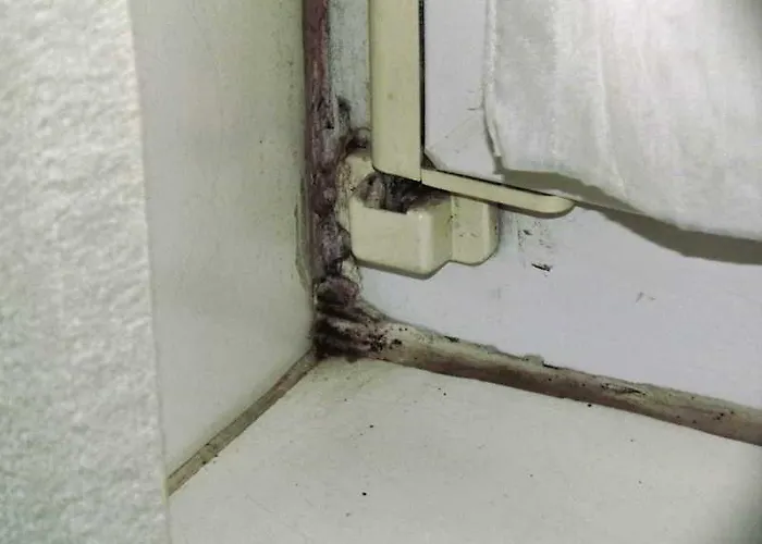 Zum Klueverbaum Hotel 2*